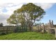 Ghinni Ghinni NSW 2430