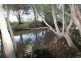 Ghinni Ghinni NSW 2430
