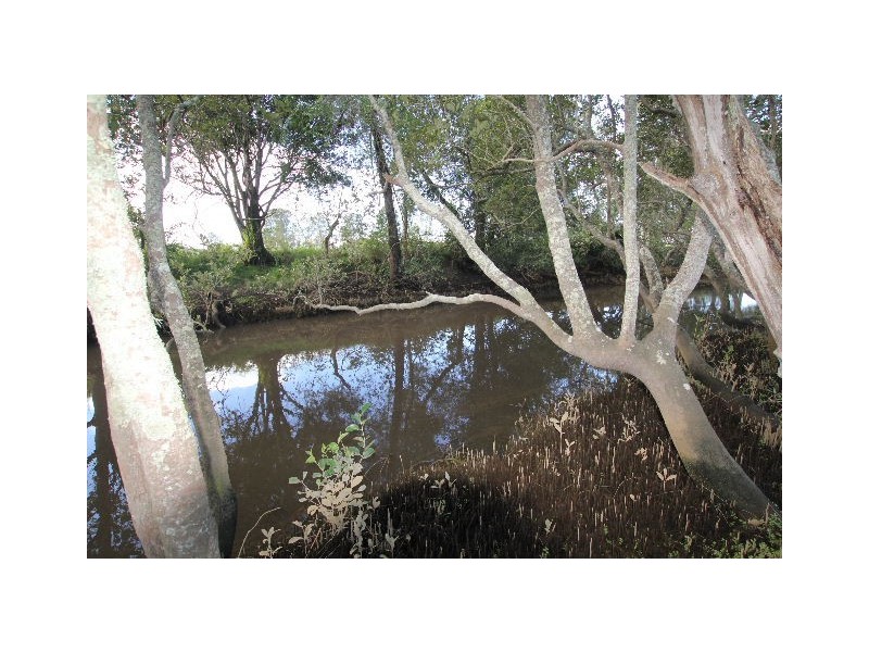 Ghinni Ghinni NSW 2430