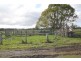 Ghinni Ghinni NSW 2430