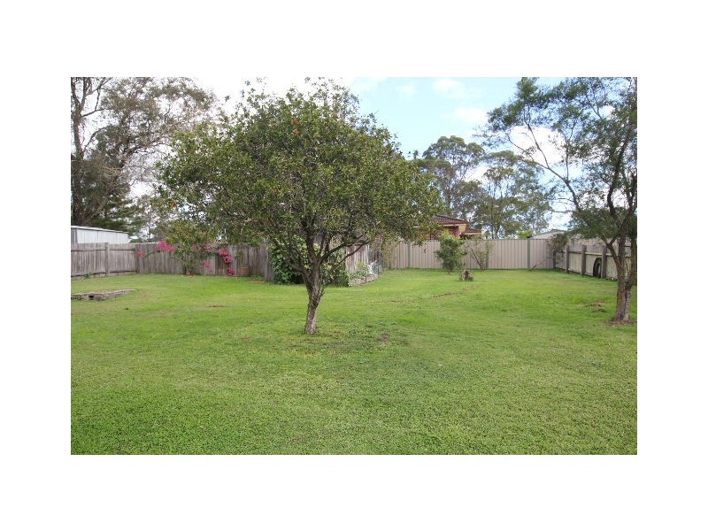 Wingham NSW 2429