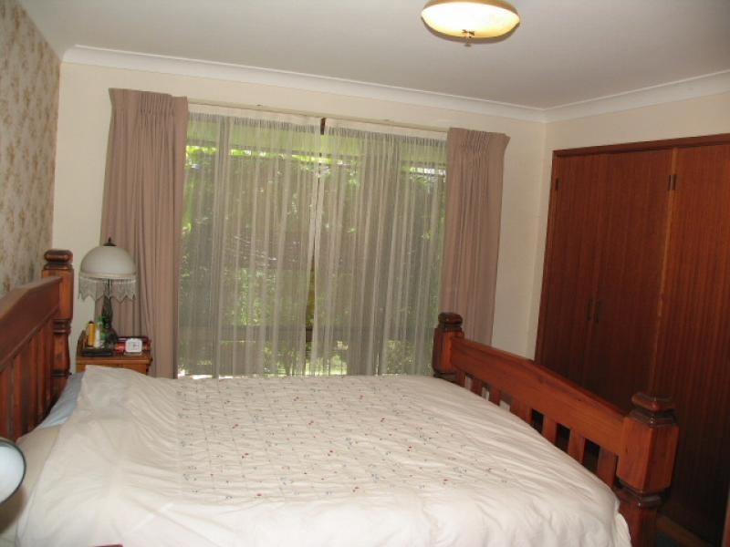 Cedar Party NSW 2429