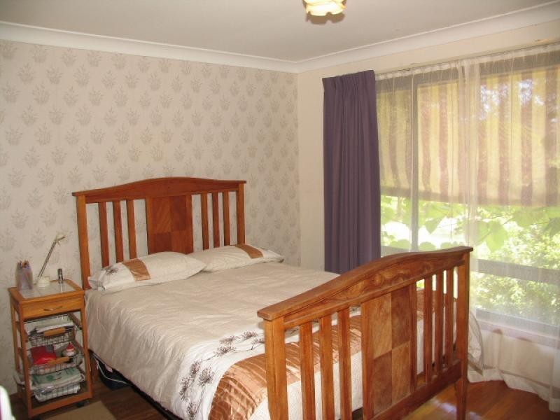 Cedar Party NSW 2429