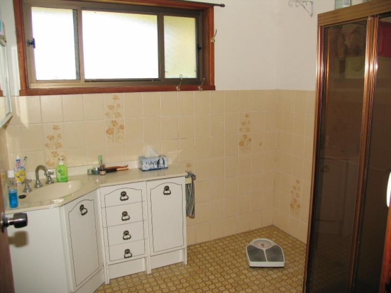 Cedar Party NSW 2429