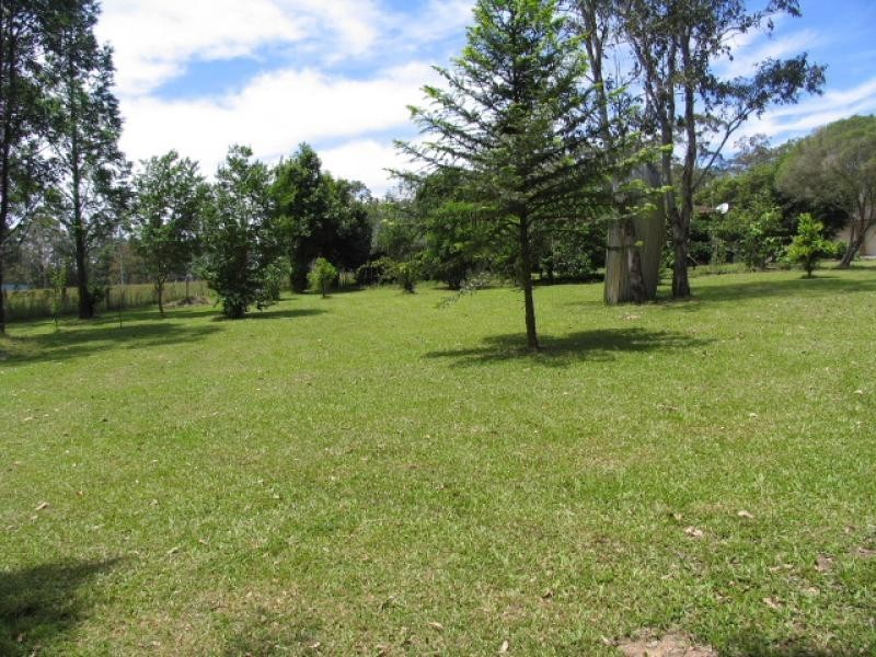 Cedar Party NSW 2429