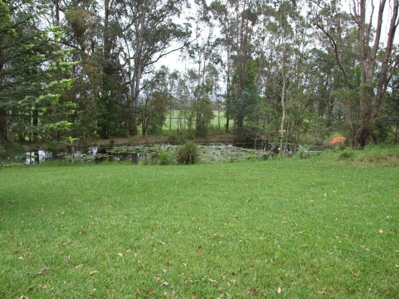 Cedar Party NSW 2429