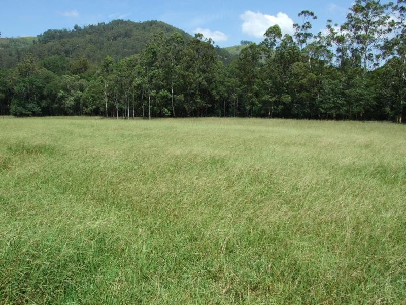 Burrell Creek NSW 2429