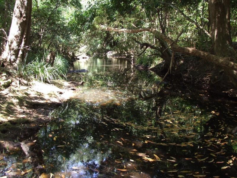 Burrell Creek NSW 2429