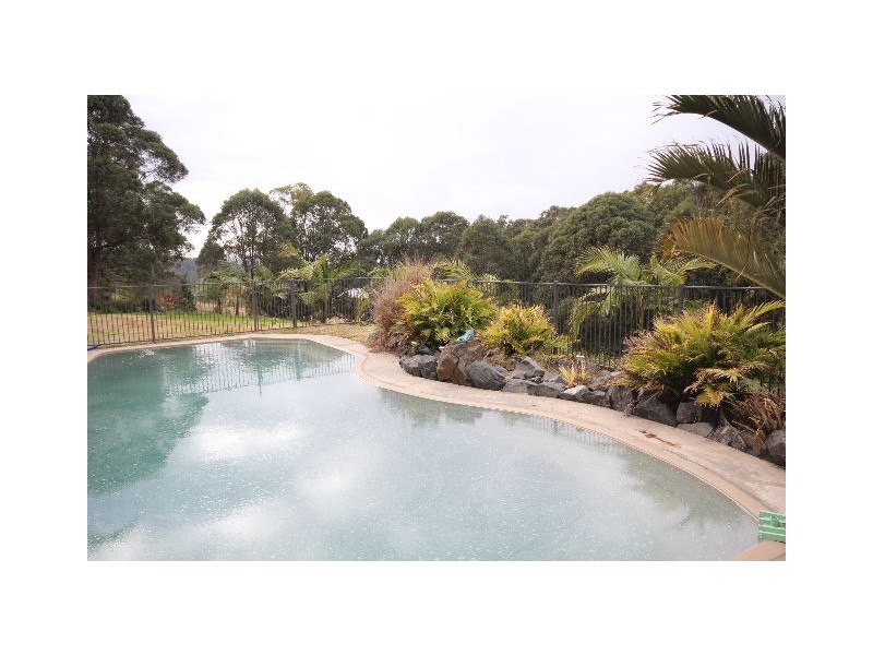 16 The Cedars Drive, Wingham NSW 2429
