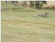 Mondrook NSW 2430