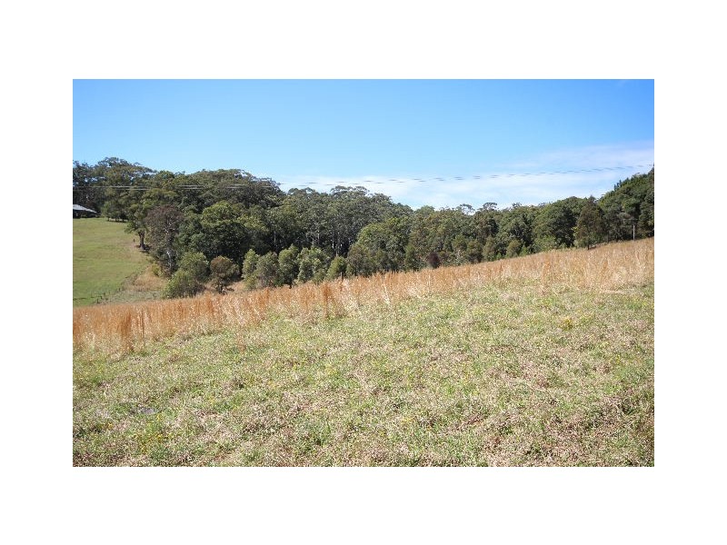 Mitchells Island NSW 2430