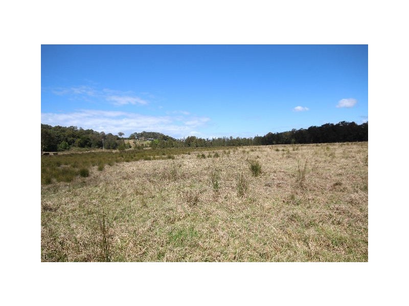 Mitchells Island NSW 2430