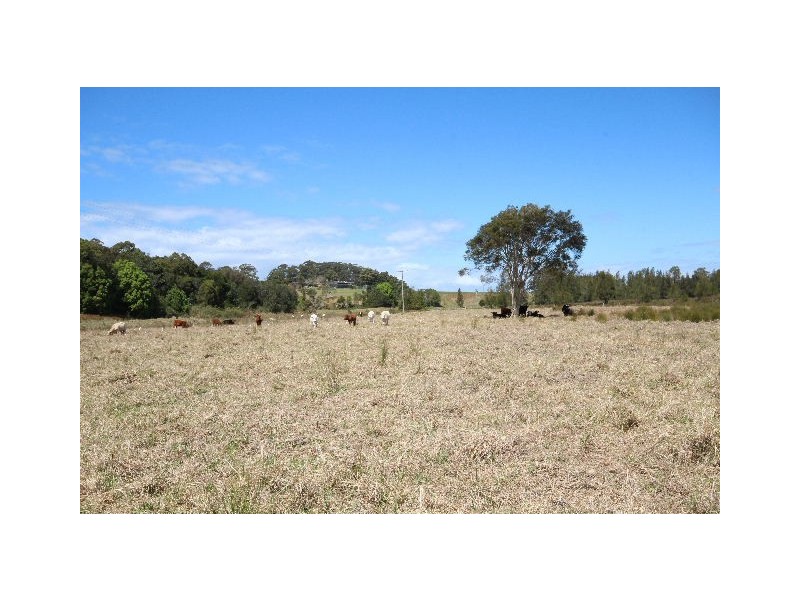 Mitchells Island NSW 2430