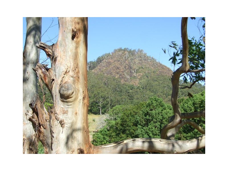 174 Koppin Yarratt Road, Upper Lansdowne NSW 2430