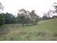 174 Koppin Yarratt Road, Upper Lansdowne NSW 2430