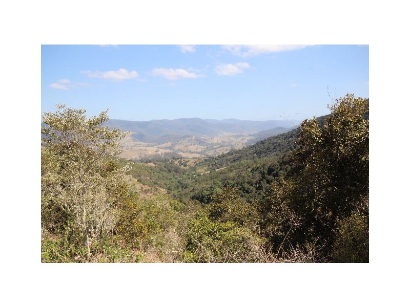 219 Beetons Road, Caffreys Flat NSW 2424