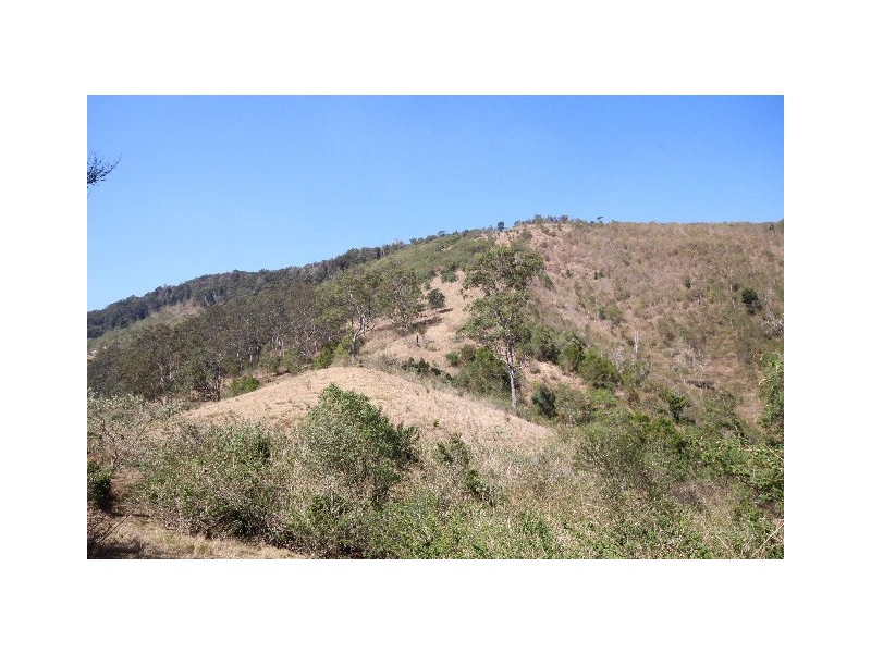 219 Beetons Road, Caffreys Flat NSW 2424