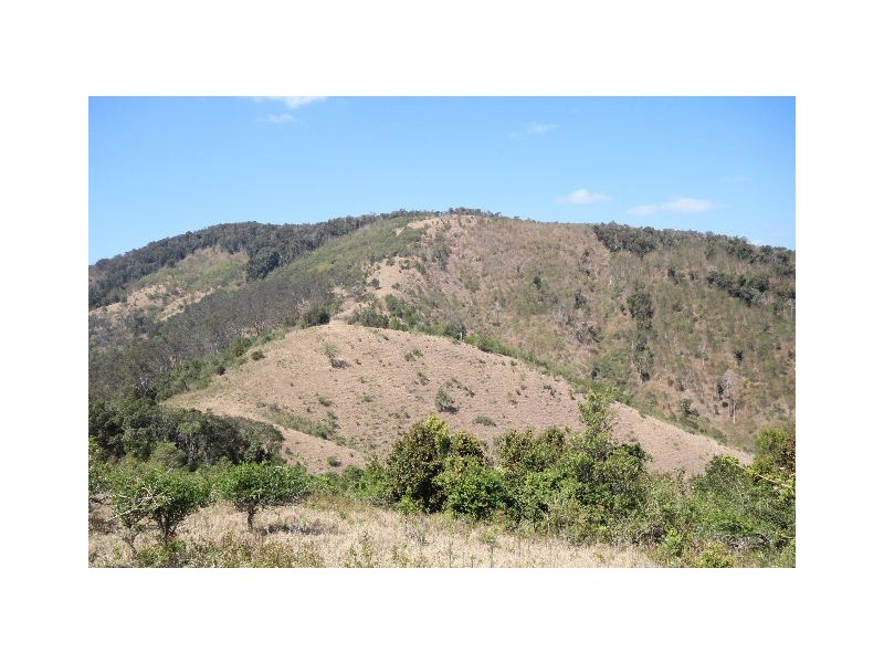 219 Beetons Road, Caffreys Flat NSW 2424