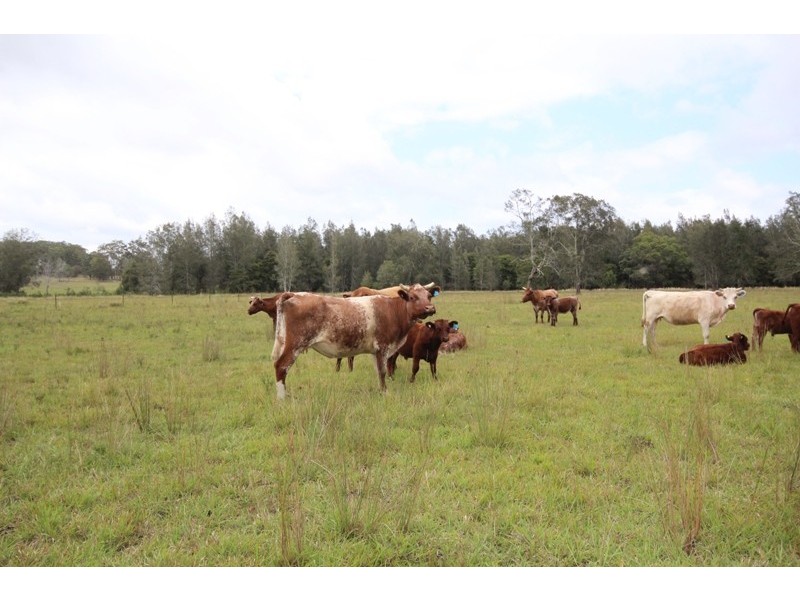 70 Onslow Lane, Kundle Kundle NSW 2430