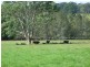 Kundle Kundle NSW 2430