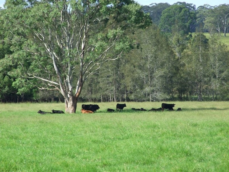 Kundle Kundle NSW 2430