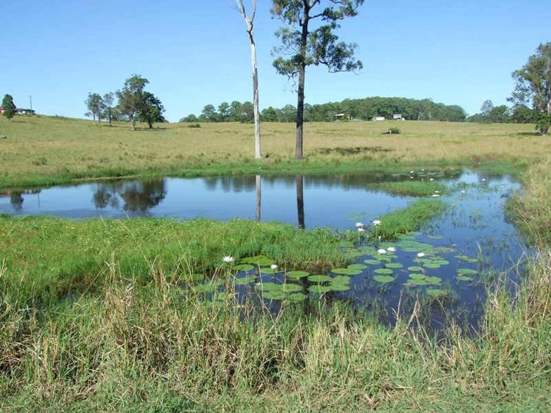 628 Tinonee Road, Mondrook NSW 2430