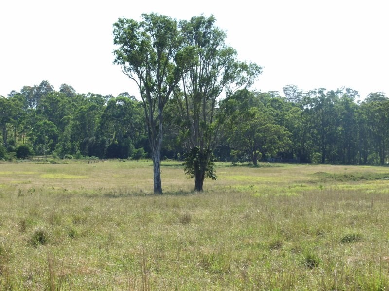 628 Tinonee Road, Mondrook NSW 2430