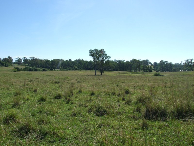 628 Tinonee Road, Mondrook NSW 2430