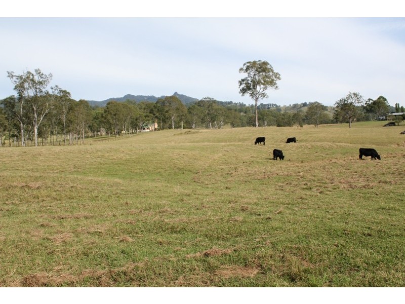 65 Butchers Creek Road, Wherrol Flat NSW 2429