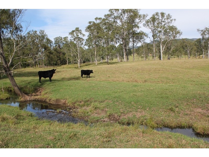 65 Butchers Creek Road, Wherrol Flat NSW 2429