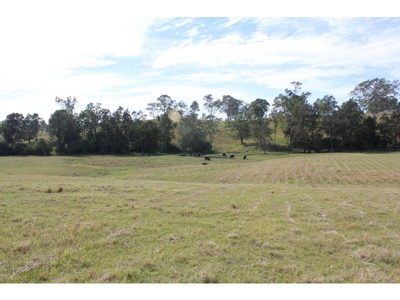 65 Butchers Creek Road, Wherrol Flat NSW 2429