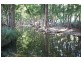 Burrell Creek NSW 2429