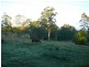 36 Glenyarra Road, Wingham NSW 2429