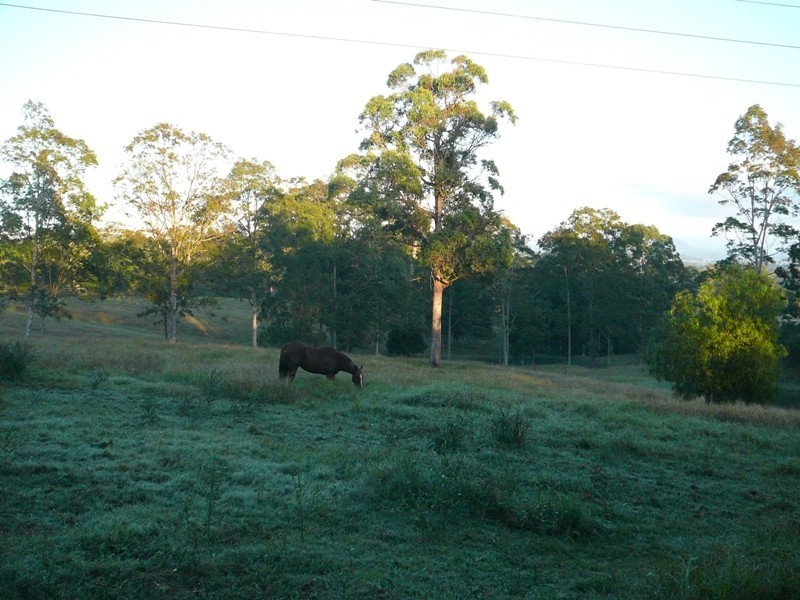 36 Glenyarra Road, Wingham NSW 2429