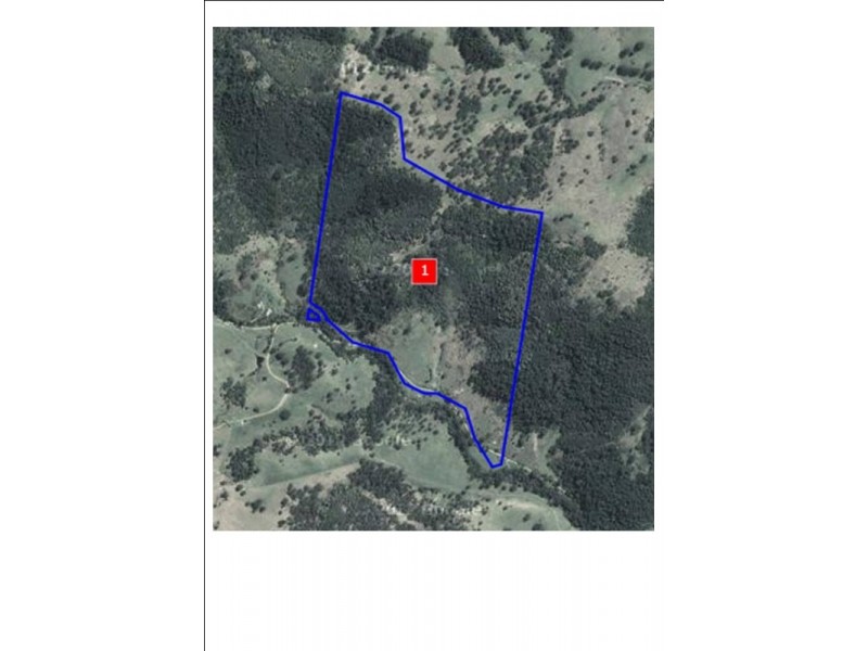 Caffreys Flat NSW 2424