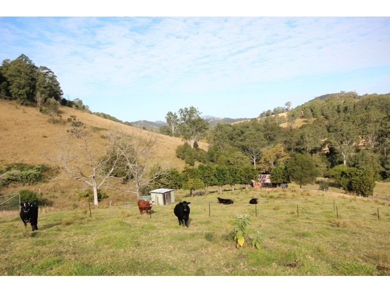 Caffreys Flat NSW 2424