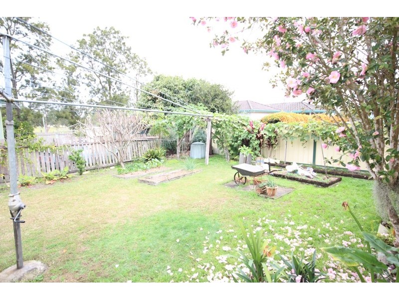 Taree NSW 2430