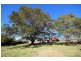 180 Harrington Road, Coopernook NSW 2426