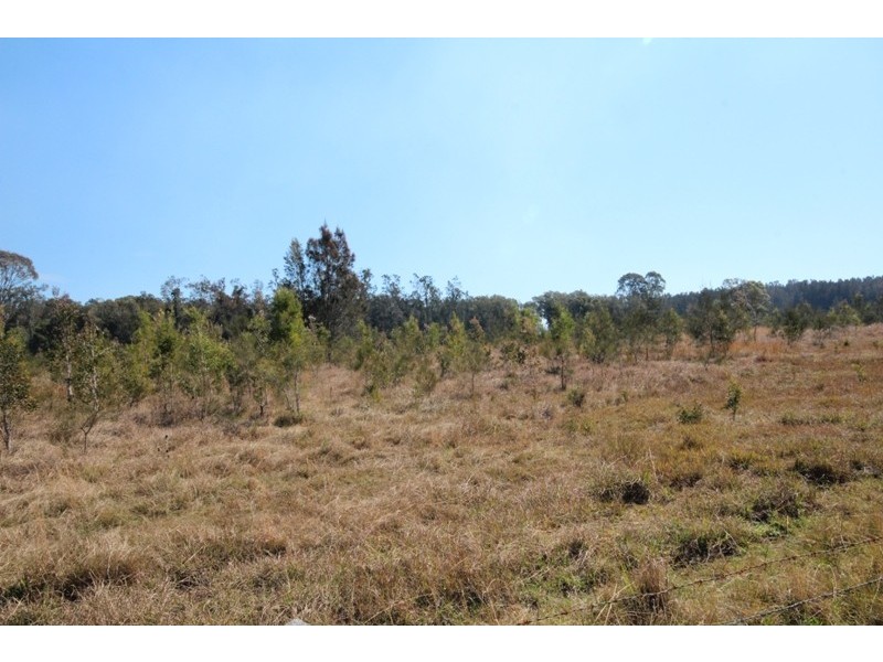 46 Cowans Lane, Oxley Island NSW 2430