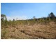 46 Cowans Lane, Oxley Island NSW 2430
