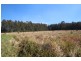 46 Cowans Lane, Oxley Island NSW 2430