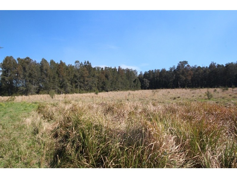 46 Cowans Lane, Oxley Island NSW 2430
