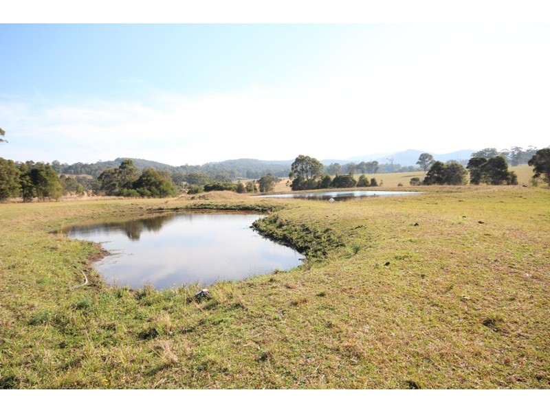 35 Tritton Road, Possum Brush NSW 2430