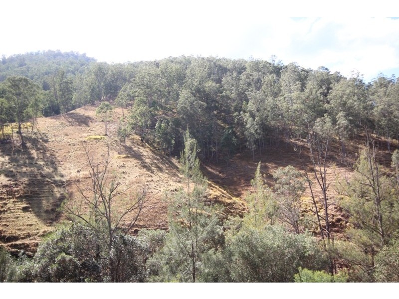 Lots 49 and 50 Cells Road, Cooplacurripa NSW 2424