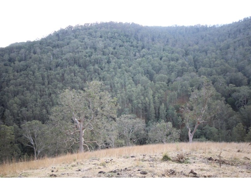 Lots 49 and 50 Cells Road, Cooplacurripa NSW 2424