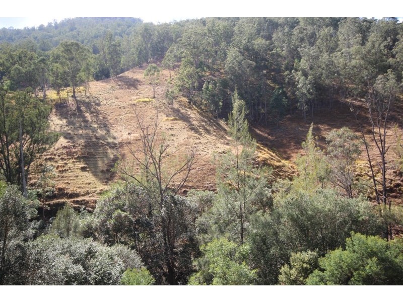 Lots 49 and 50 Cells Road, Cooplacurripa NSW 2424