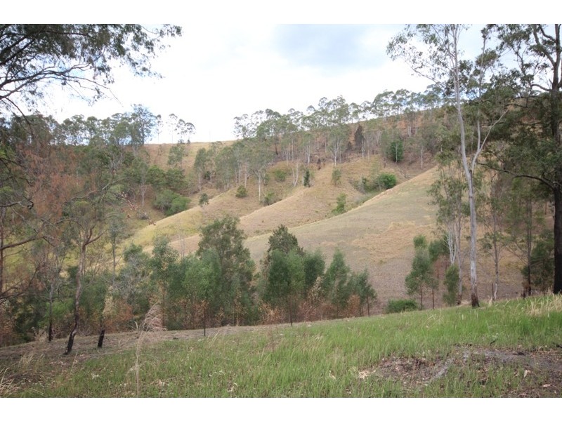 2898 Nowendoc Road, Caffreys Flat NSW 2424