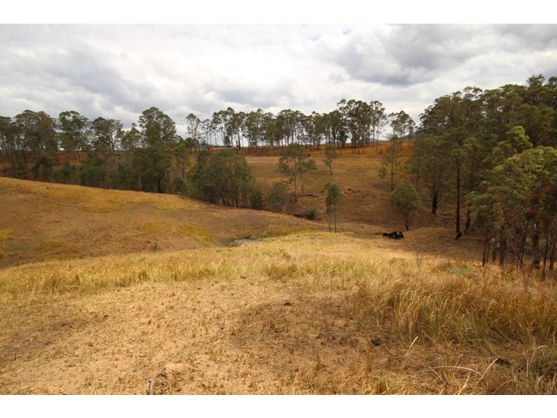 2898 Nowendoc Road, Caffreys Flat NSW 2424