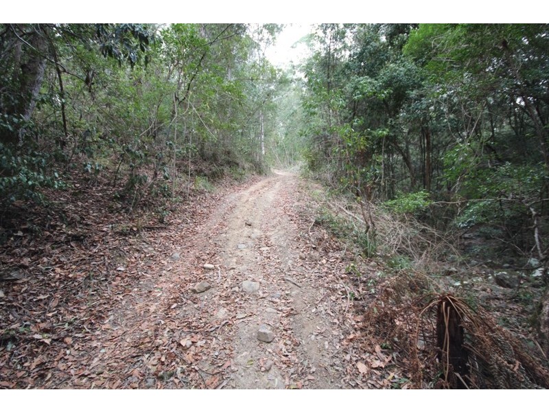 2898 Nowendoc Road, Caffreys Flat NSW 2424