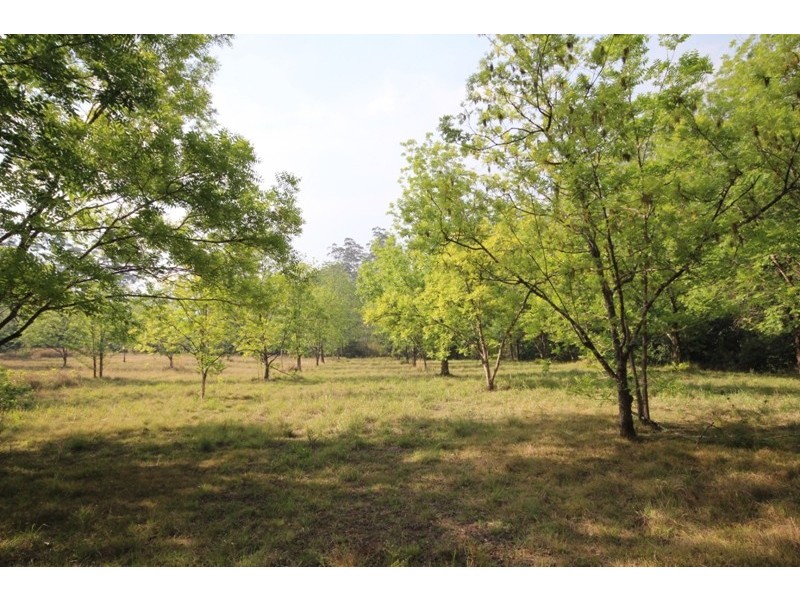 82 Schneider Road, Bobin NSW 2429